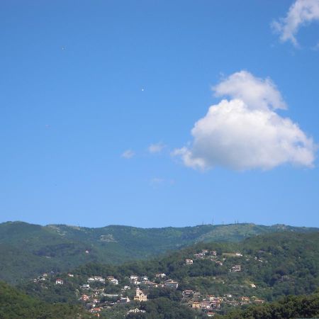 Genovese Villa Elena Appartamenti Varazze Exterior photo